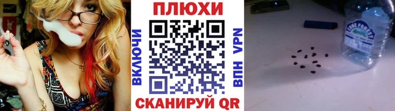 ГАШИШ Premium  omg ССЫЛКА  Новоржев  наркошоп 