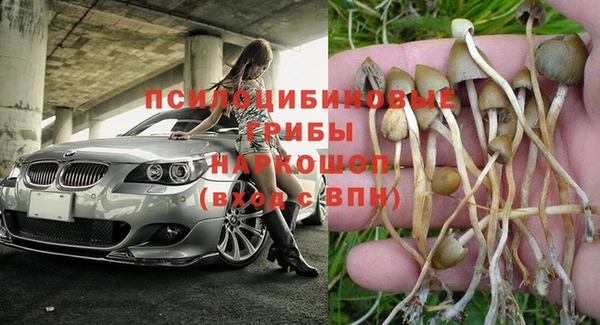 трава Балабаново
